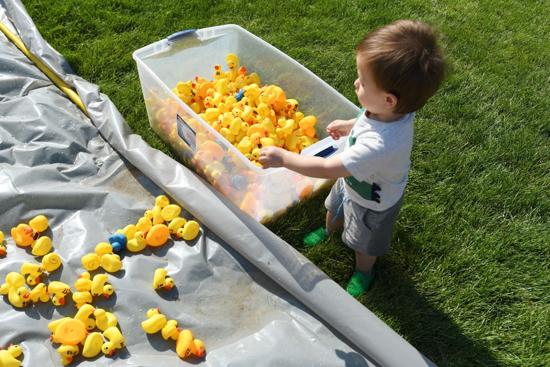 Duck Pickup